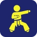 Taekwondo